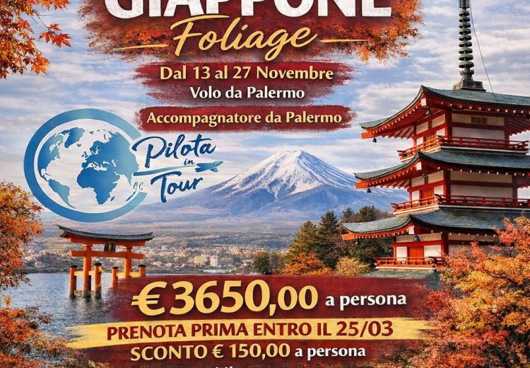 WhatsApp Image 2026-02-16 at 19.45.26